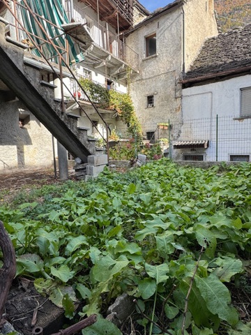 Casa indipendente con giardino a Varzo
