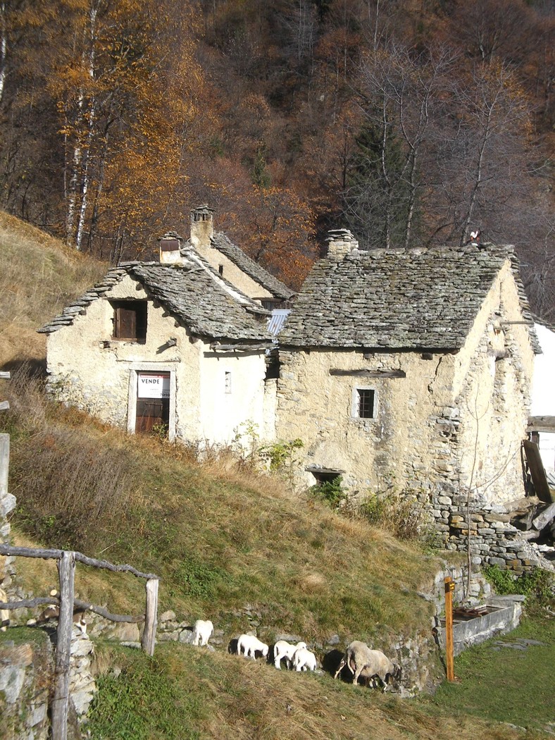 Rustico con giardino a Varzo
