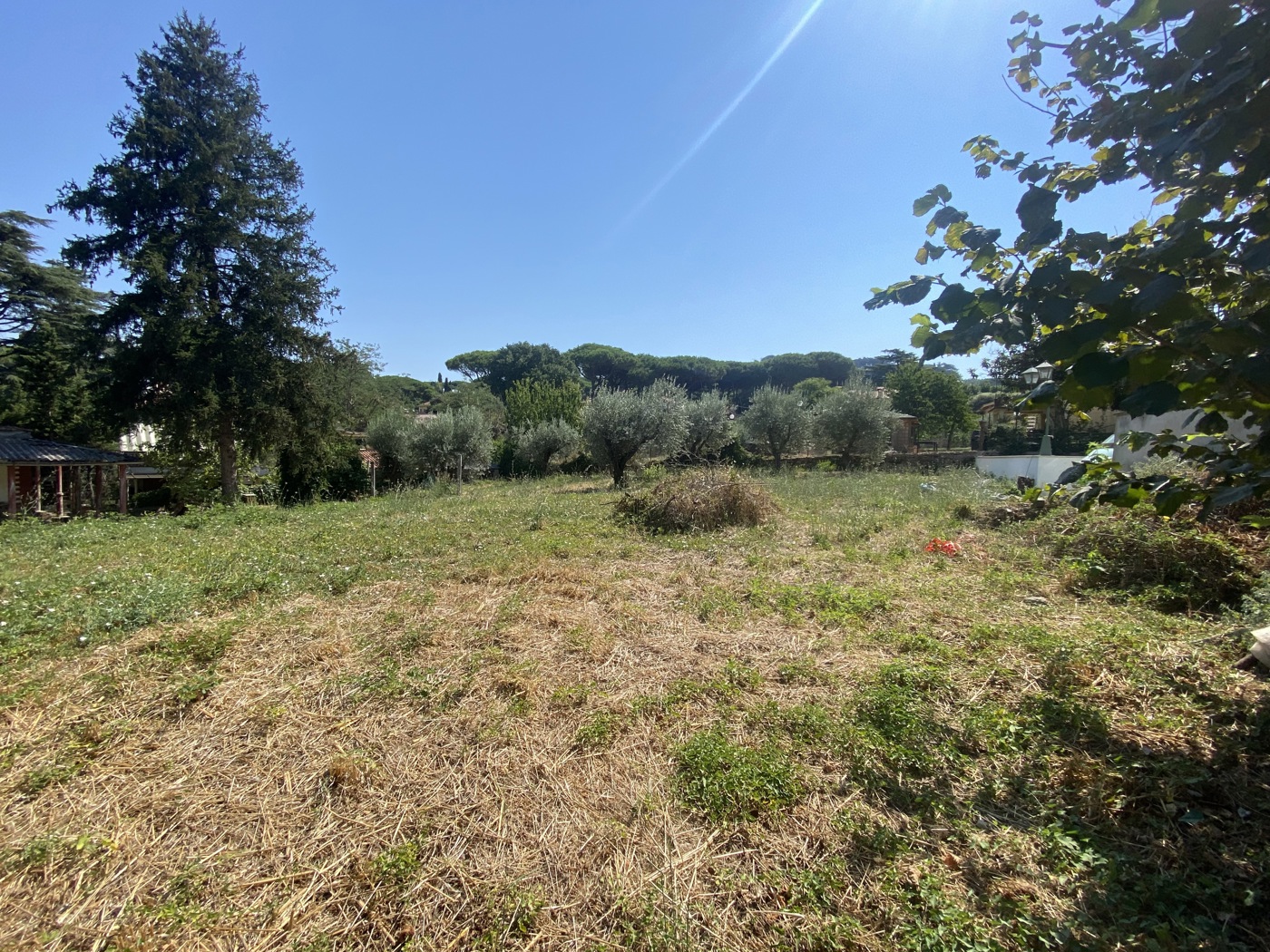 Terreno Agricolo in vendita a Grottaferrata