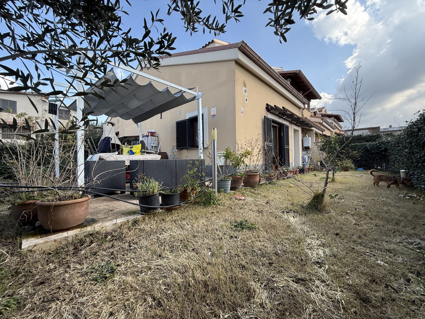 Villa Bifamiliare con giardino a Frascati