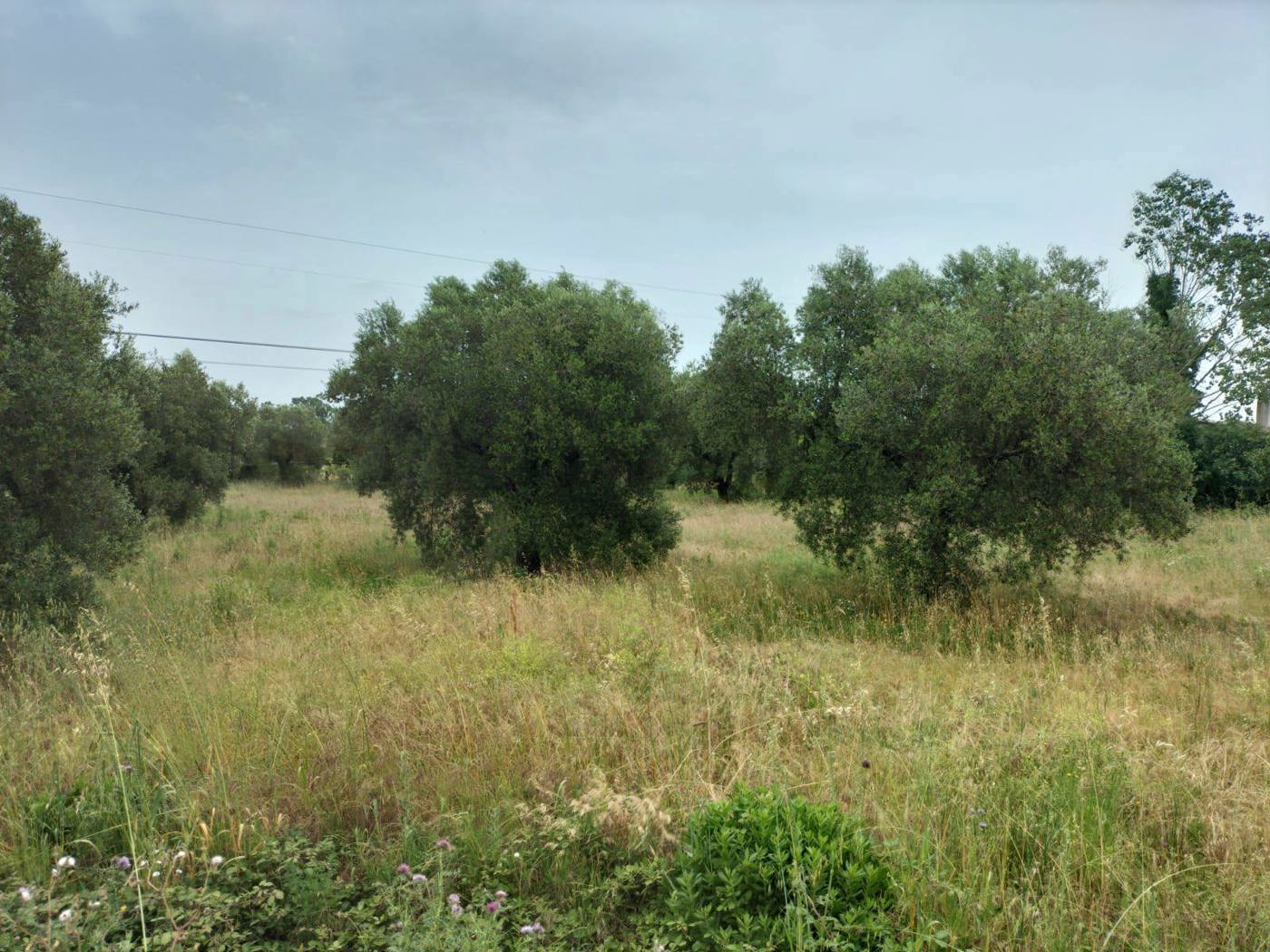 Villa in vendita a Aprilia