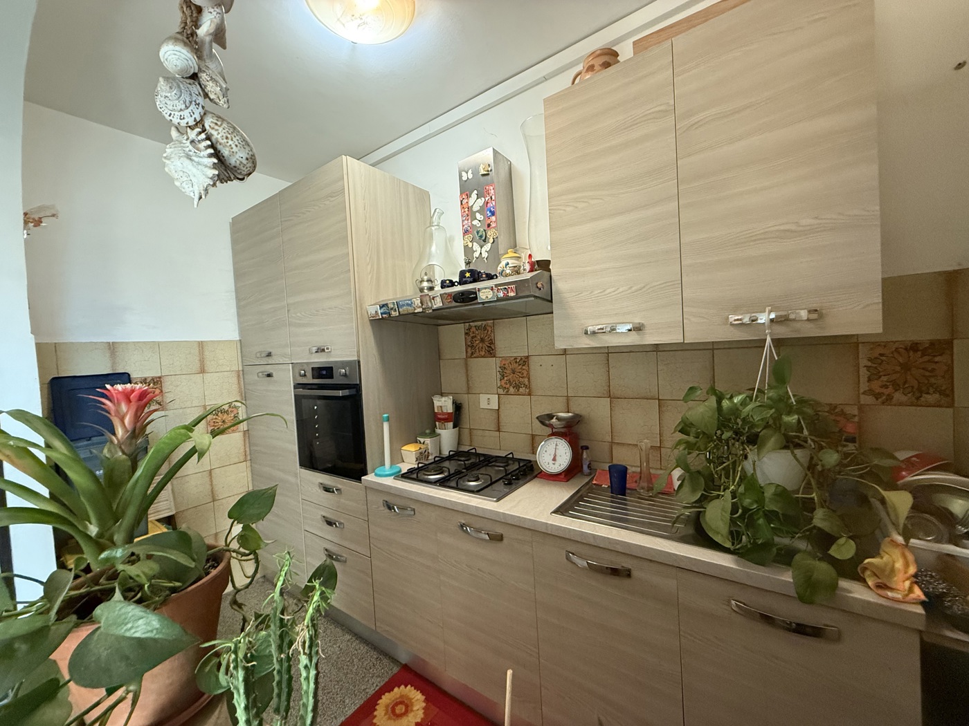 Casa indipendente da ristrutturare a Grottaferrata