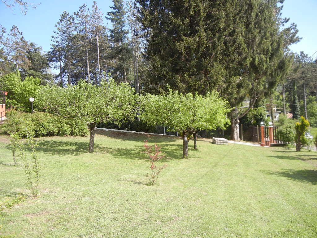 Villa in affitto a Rocca di Papa