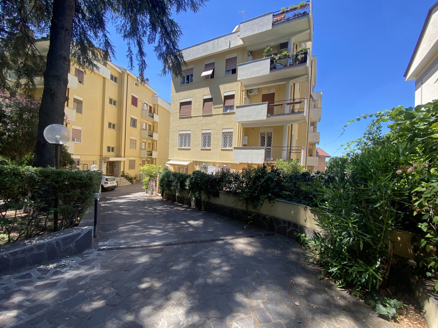 Trilocale in affitto a Grottaferrata