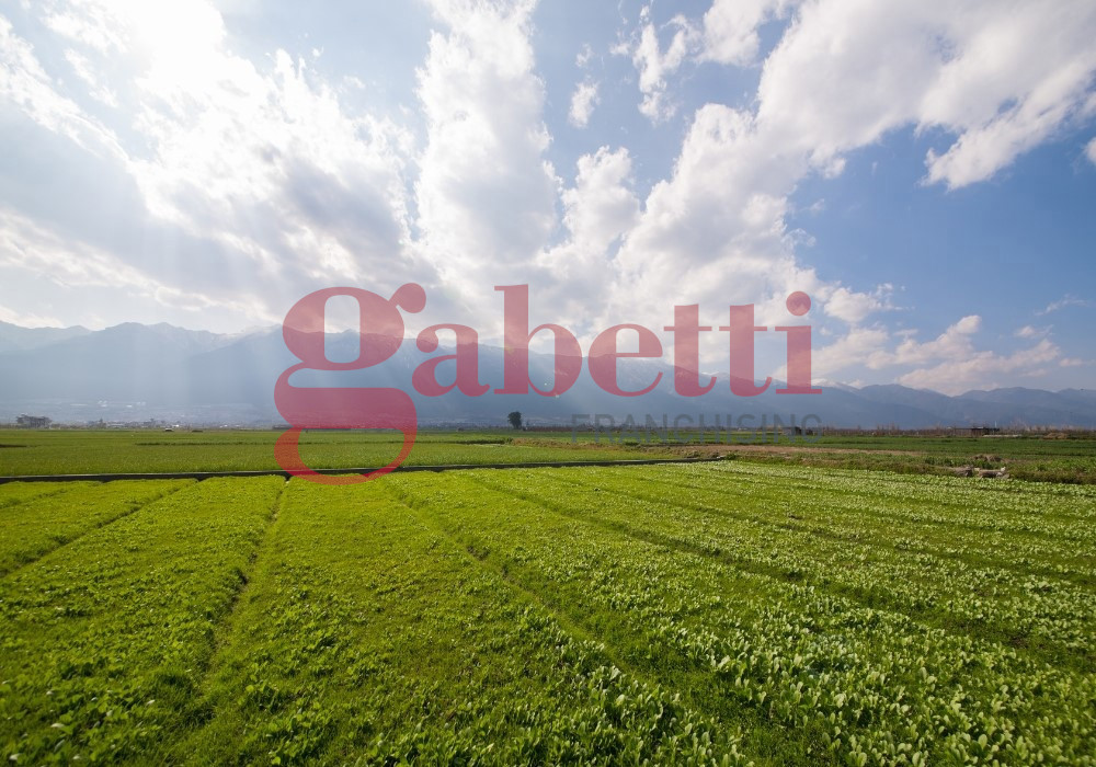 Terreno Agricolo in vendita a Venafro