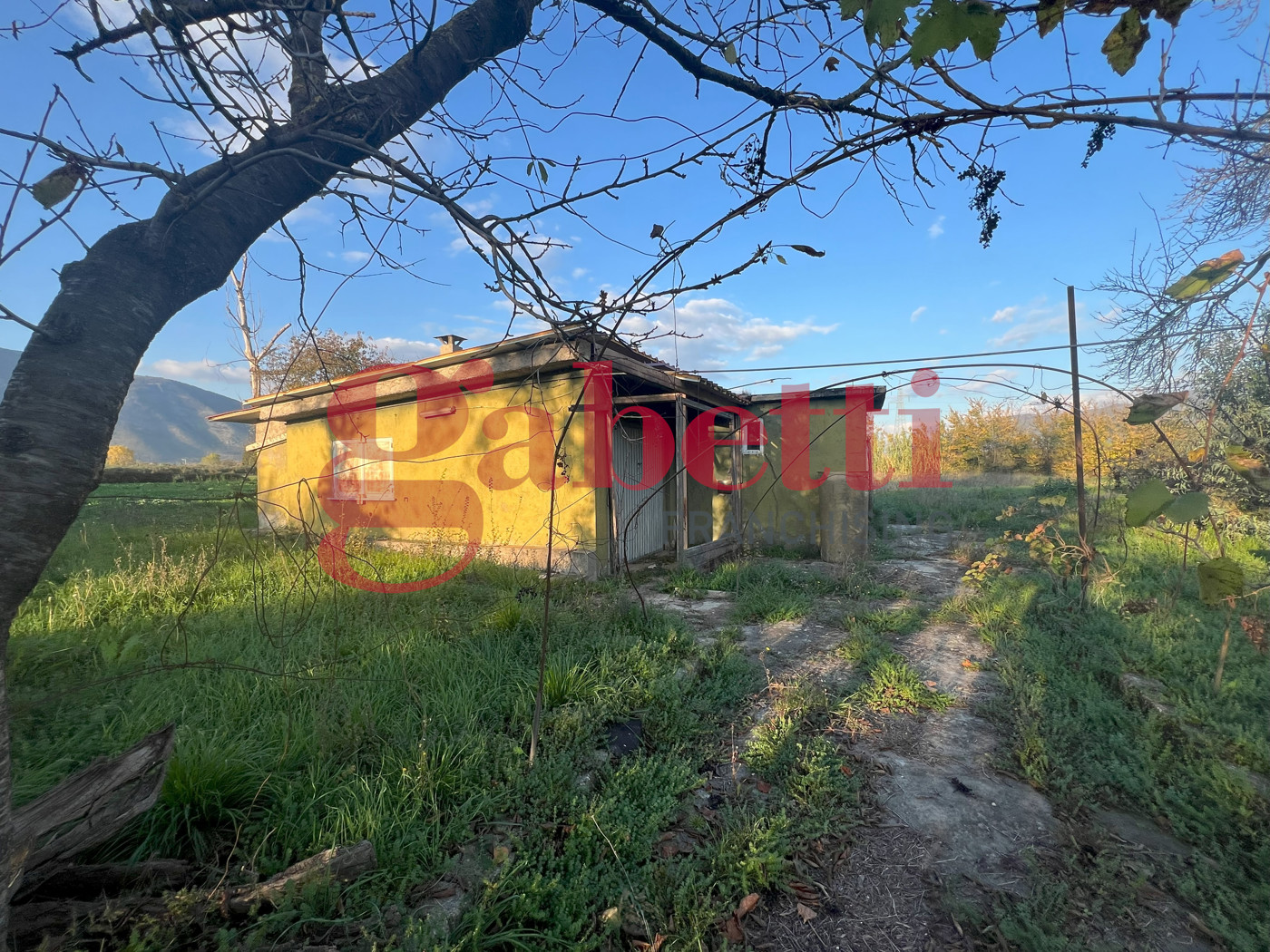 Casa indipendente con giardino a Venafro