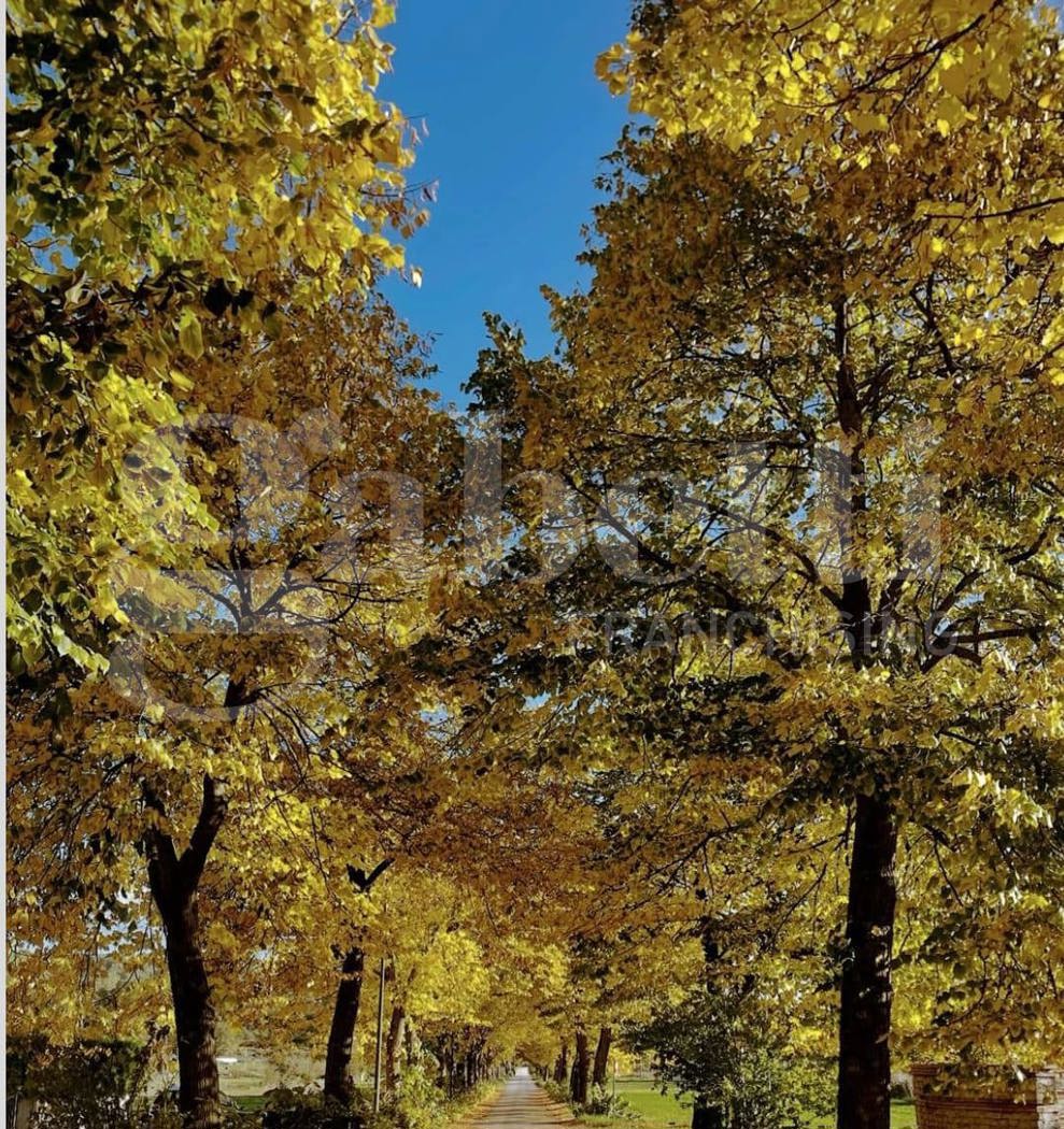 Villa in vendita a Conca Casale