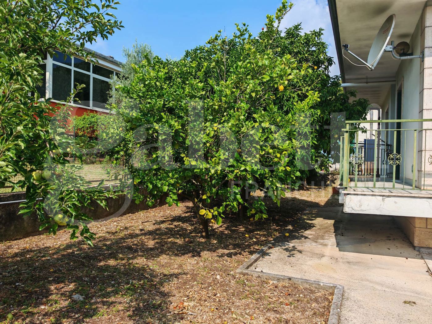 Casa indipendente con giardino a Pozzilli