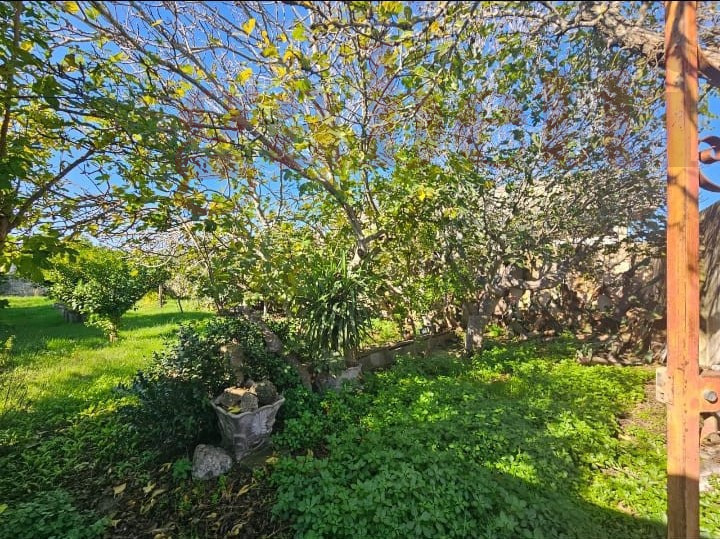 Terreno Edificabile in vendita a Copertino