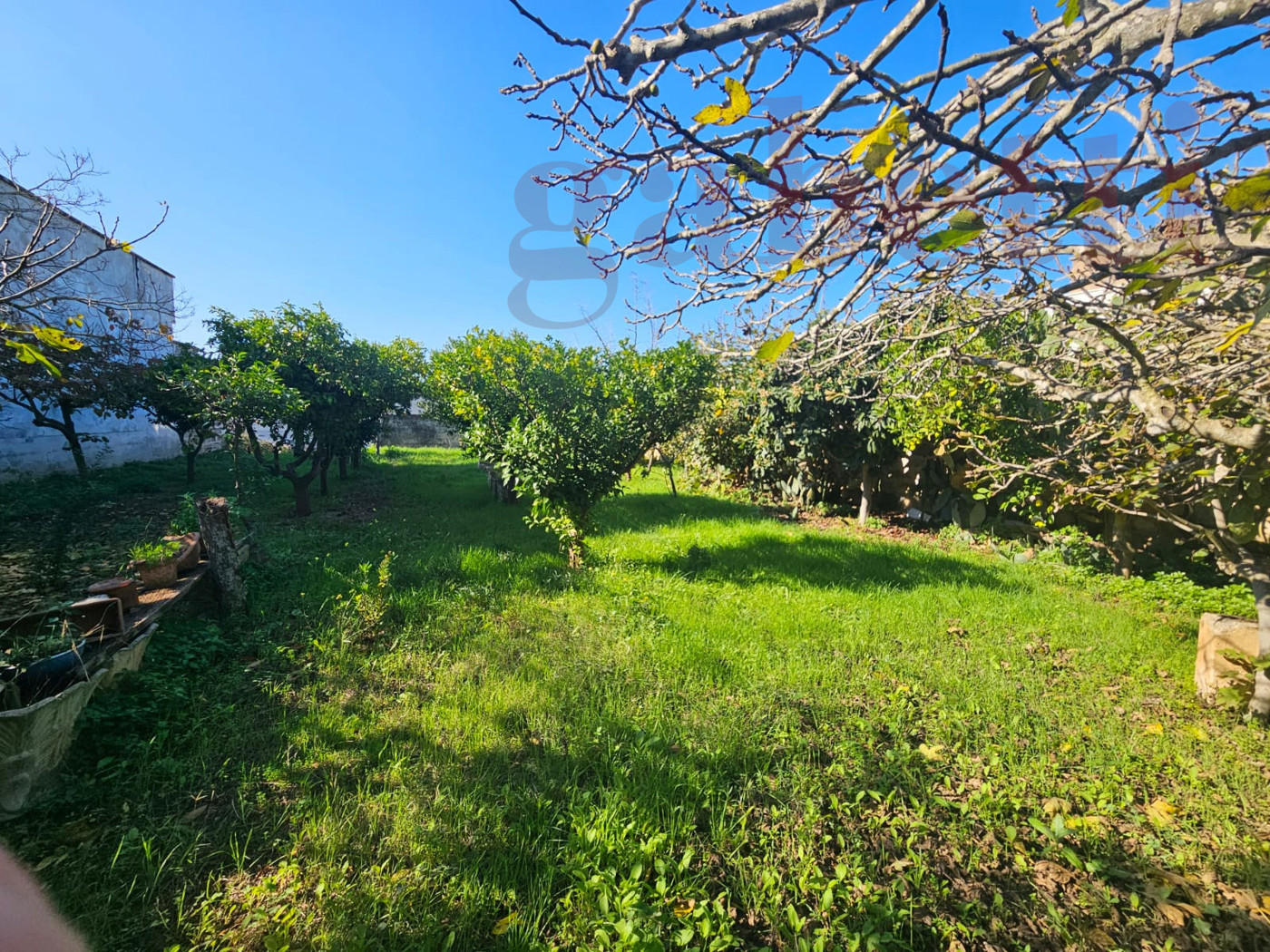 Terreno Edificabile in vendita a Copertino