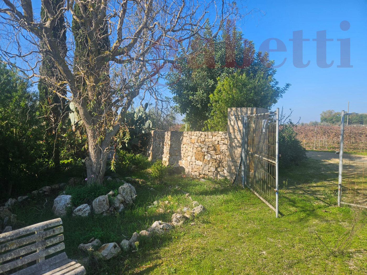 Terreno Agricolo in vendita a Copertino