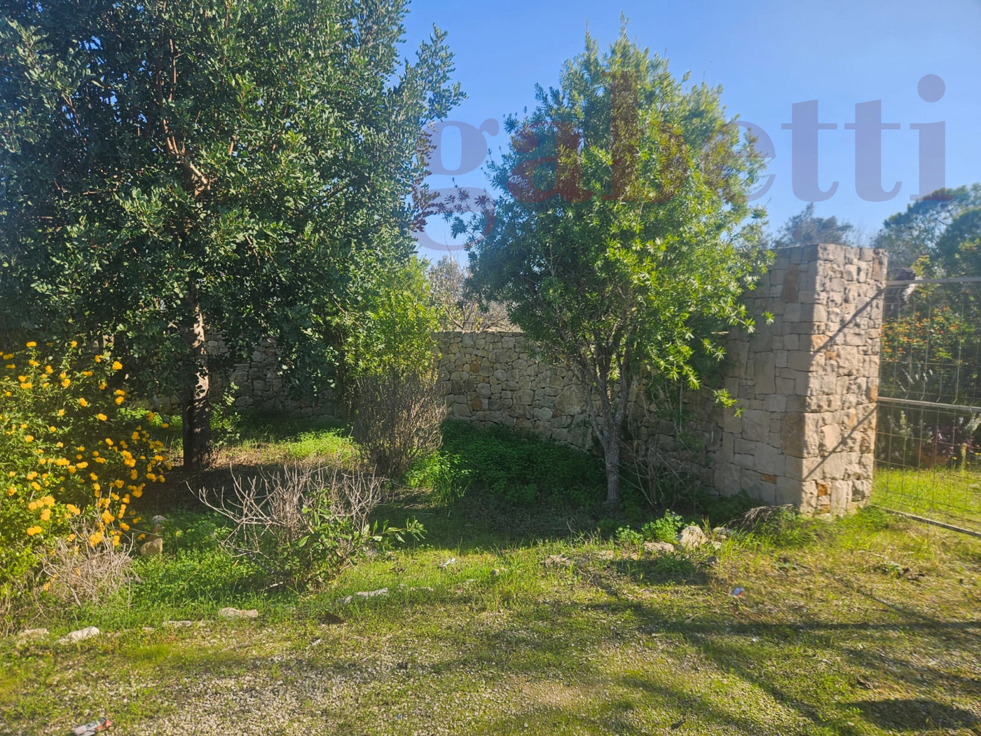 Terreno Agricolo in vendita a Copertino