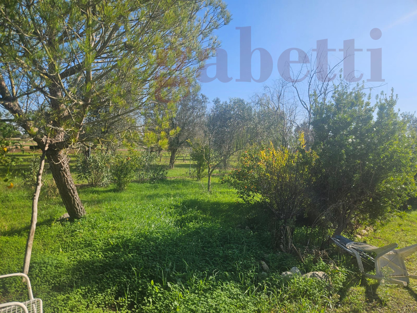 Terreno Agricolo in vendita a Copertino