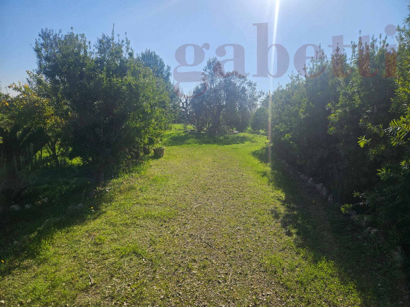 Terreno Agricolo in vendita a Copertino