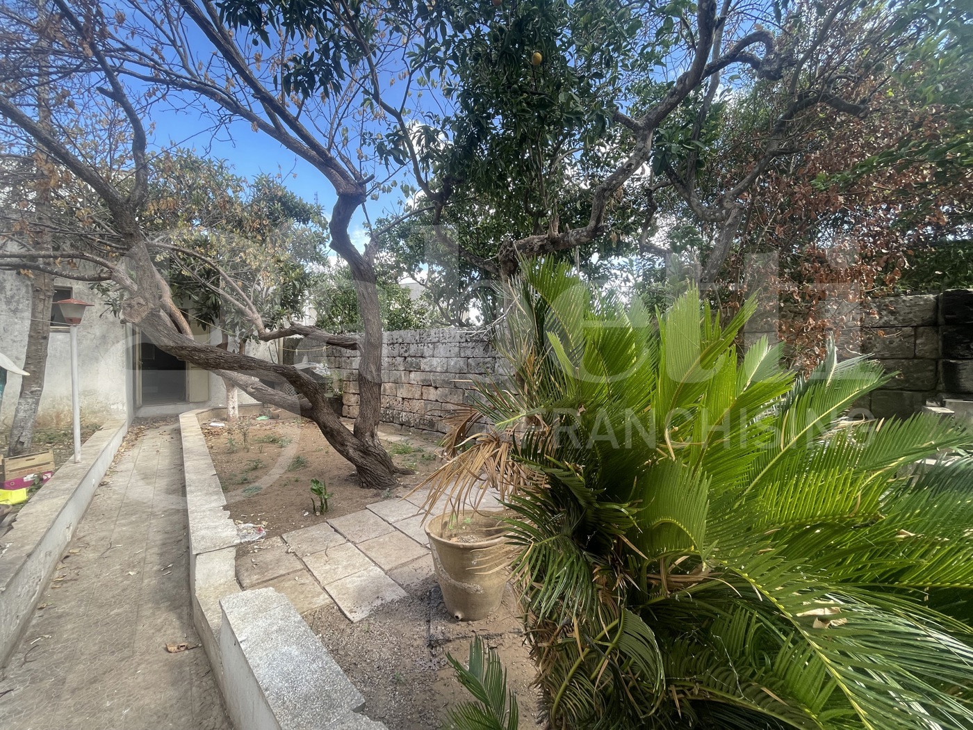 Casa indipendente con giardino a Spongano