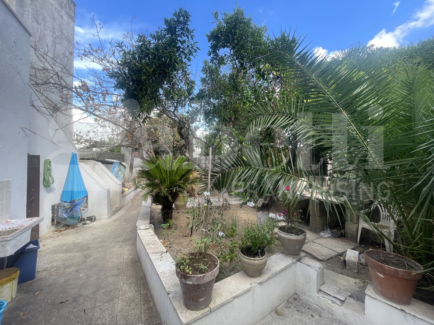 Casa indipendente con giardino a Spongano