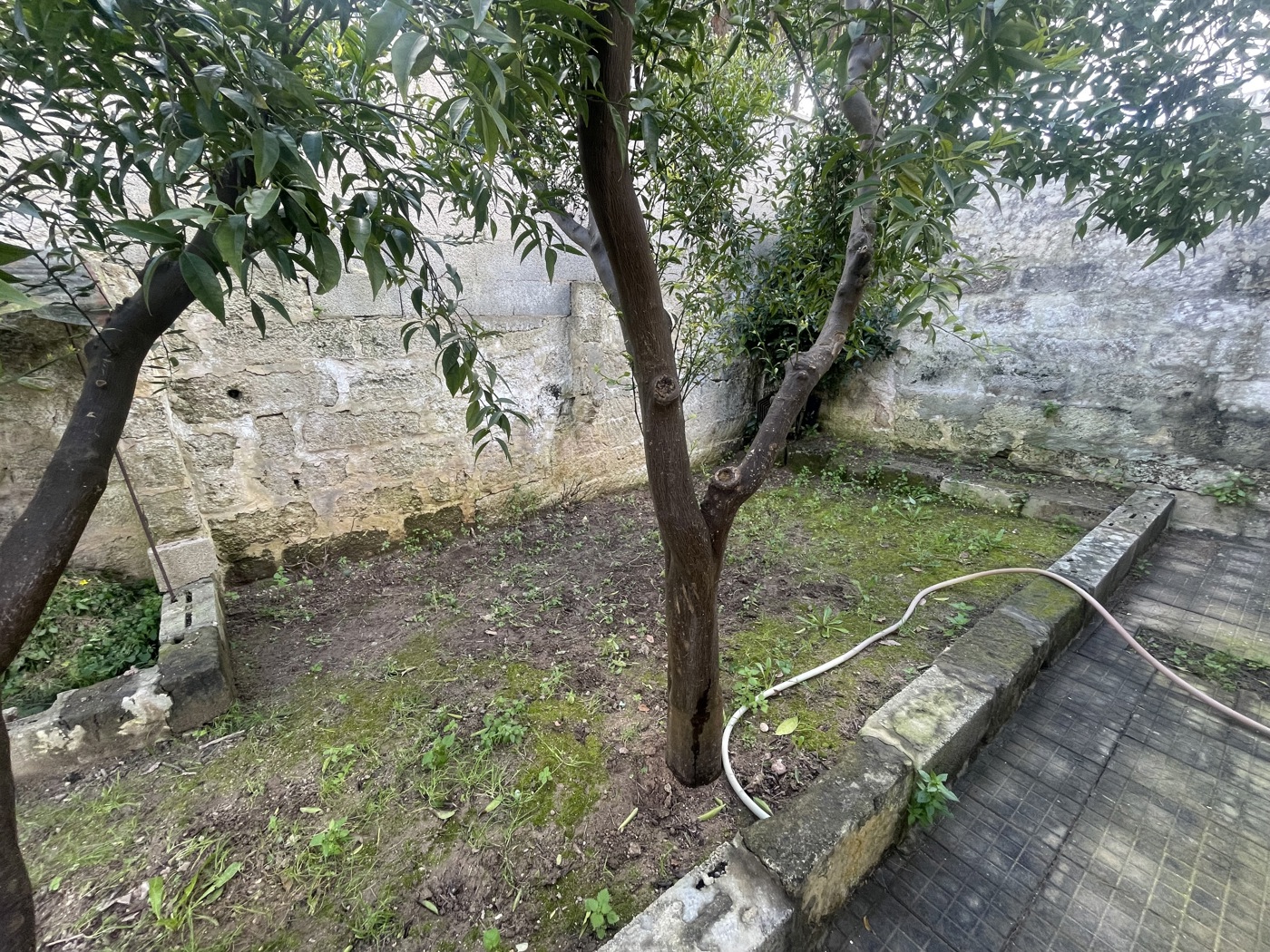 Casa indipendente con giardino a Ortelle