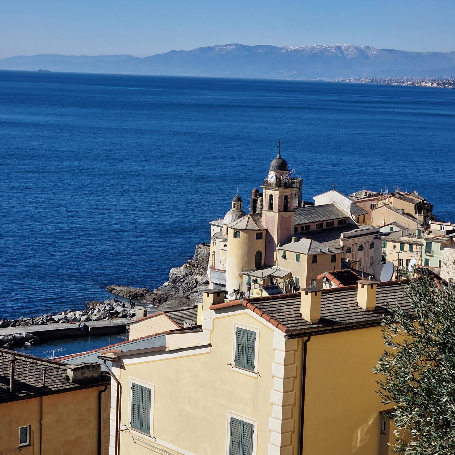 immagine annuncio 5 di 6