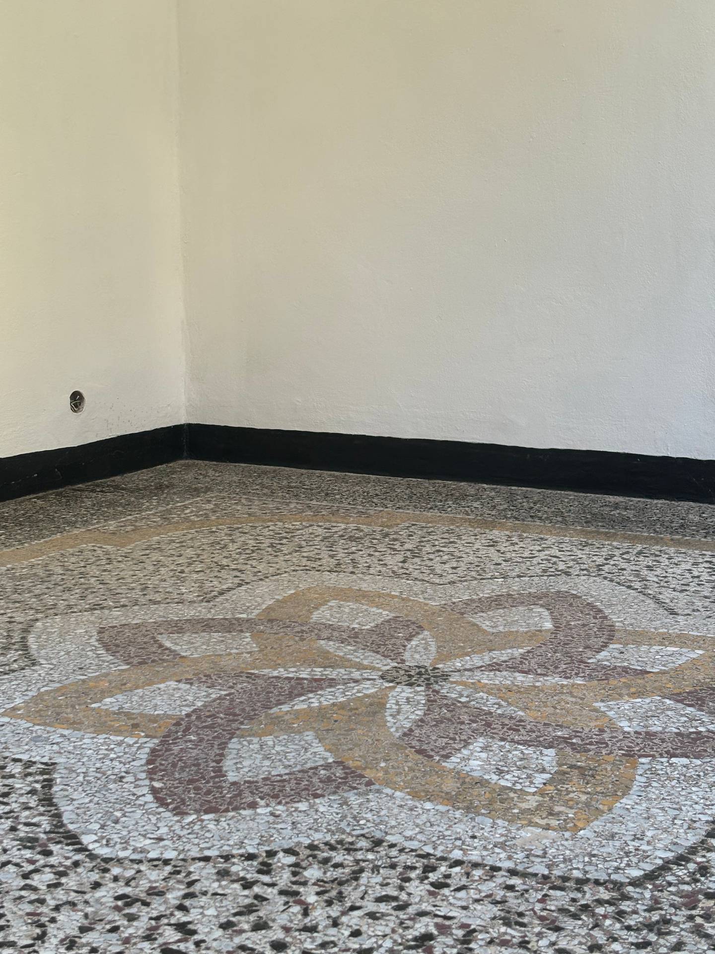 Appartamento in affitto a Camogli