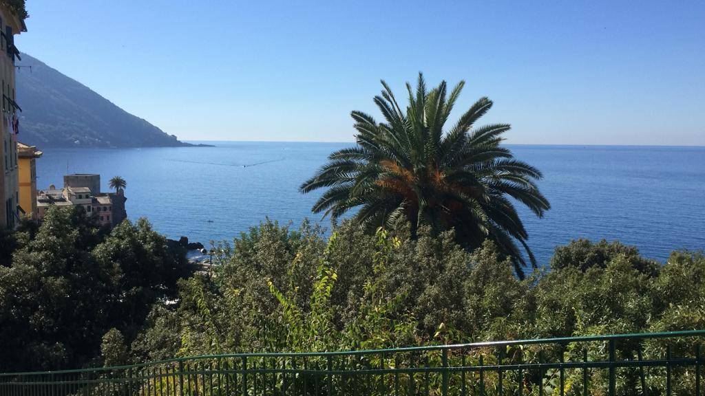 Appartamento in affitto a Camogli
