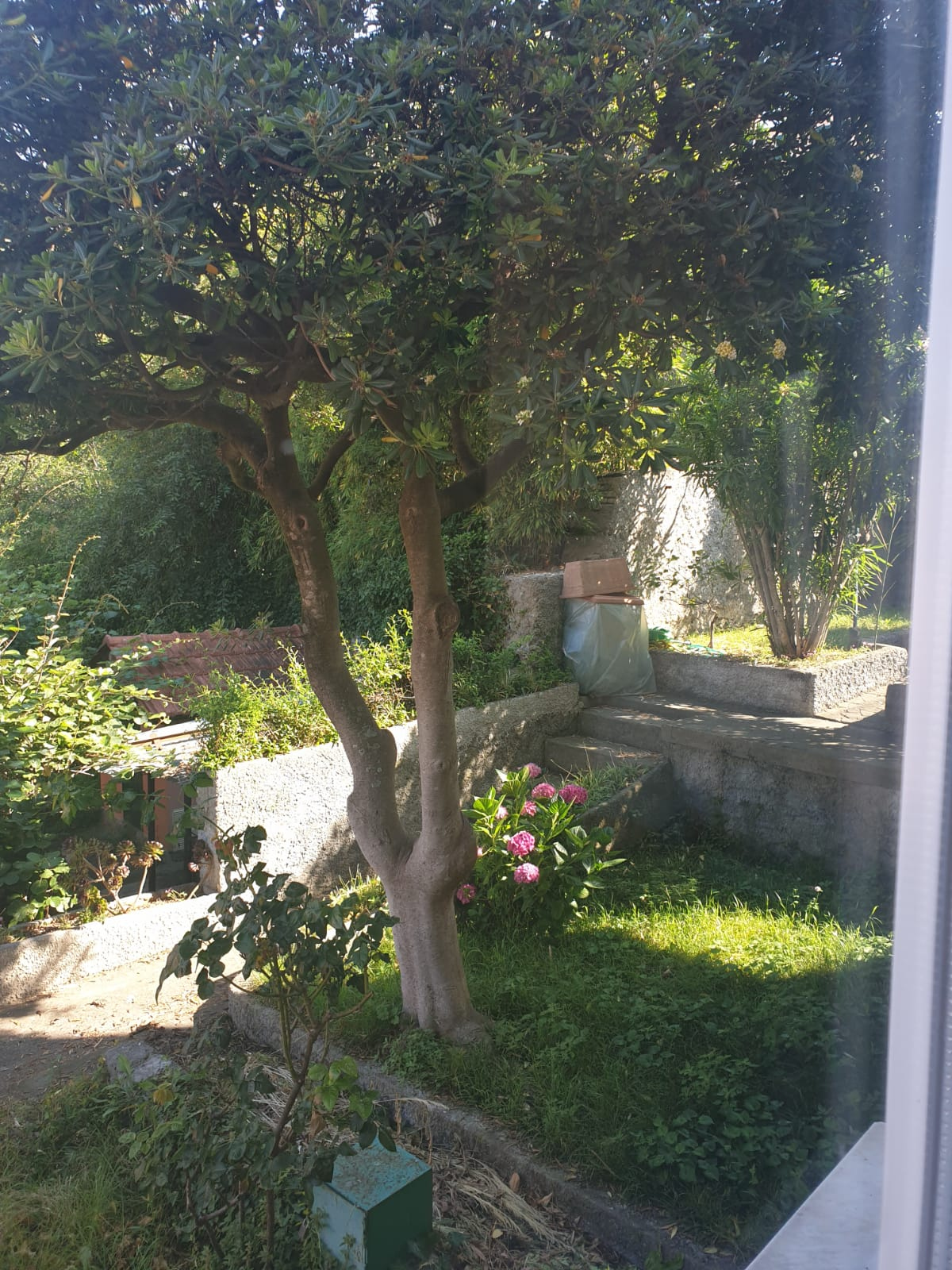 Appartamento in affitto a Camogli