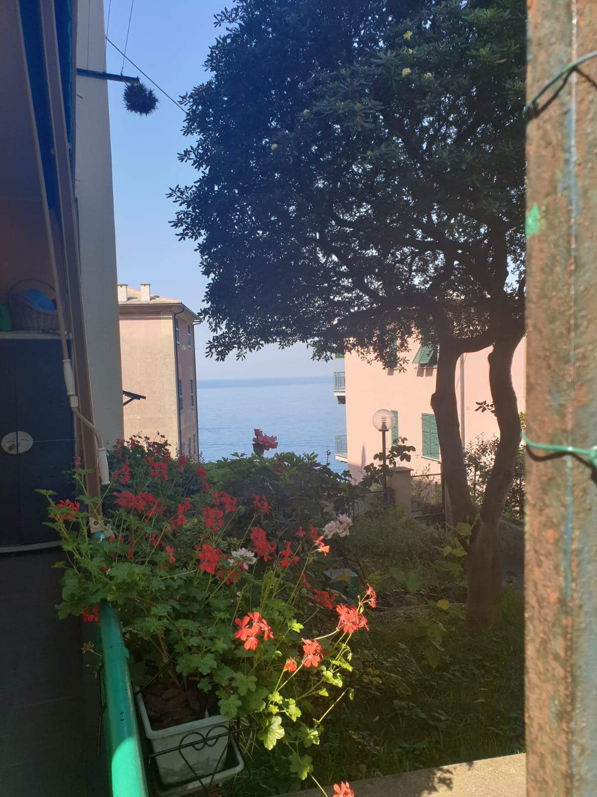 Appartamento in affitto a Camogli