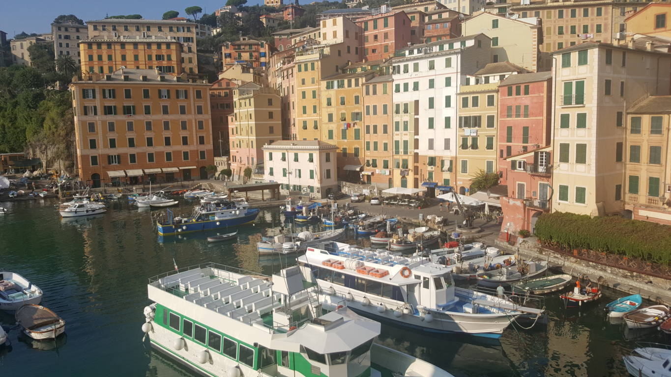 Appartamento in affitto a Camogli