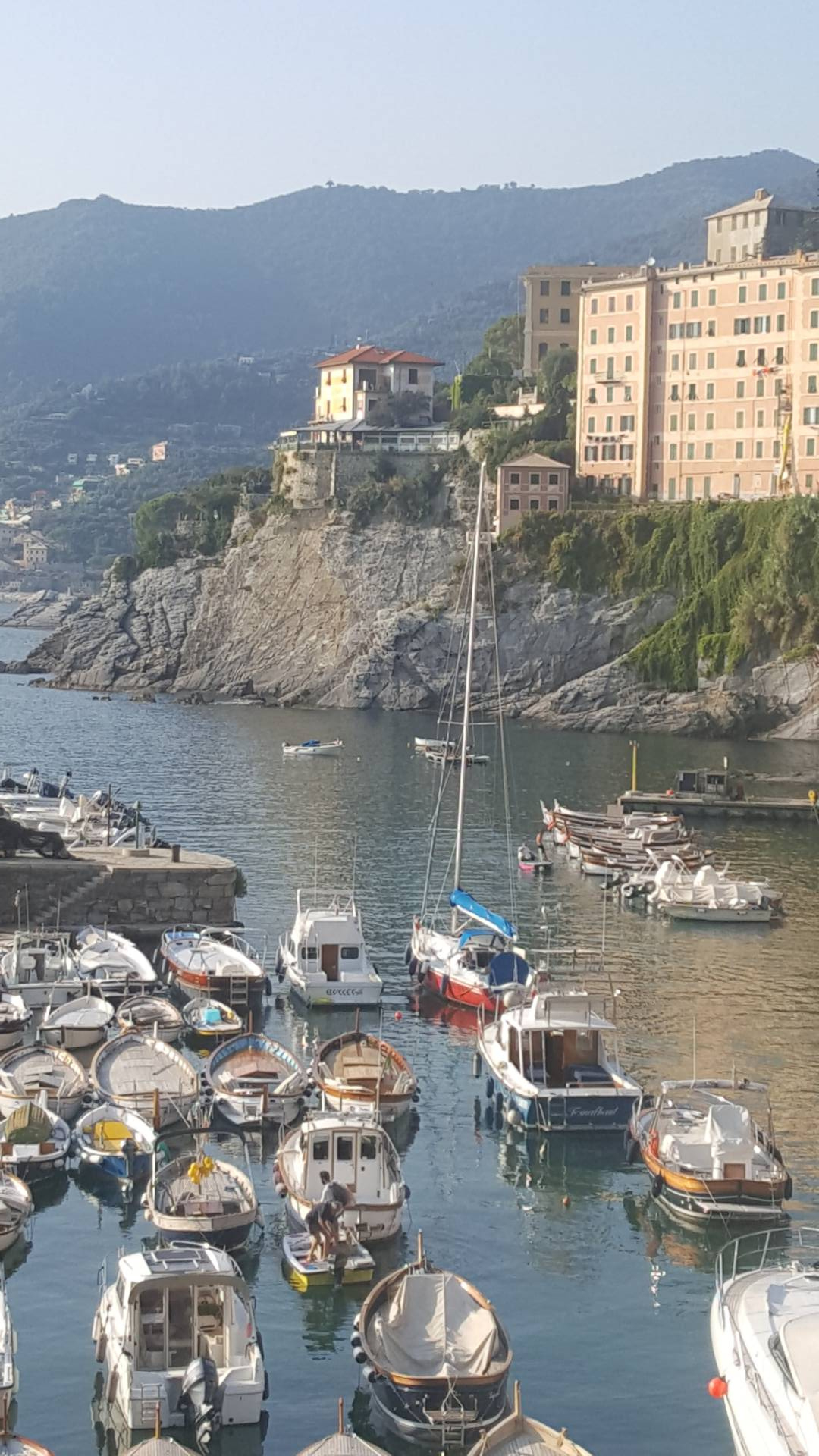 Appartamento in affitto a Camogli