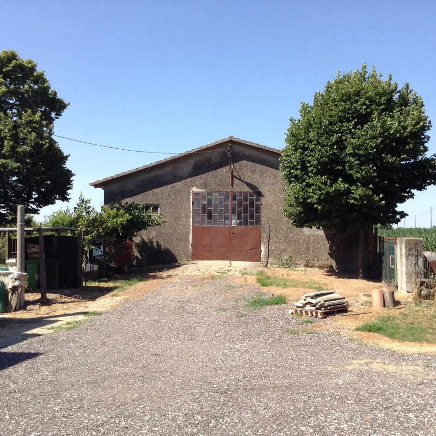 Terreno Agricolo in vendita a Gavello