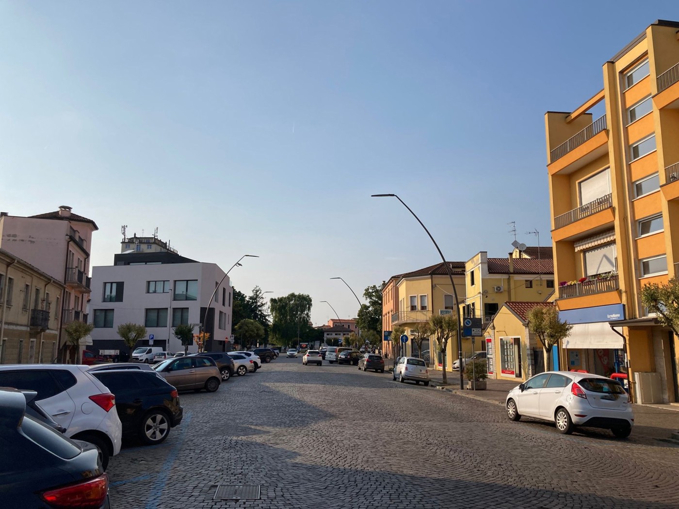 immagine annuncio 3 di 6