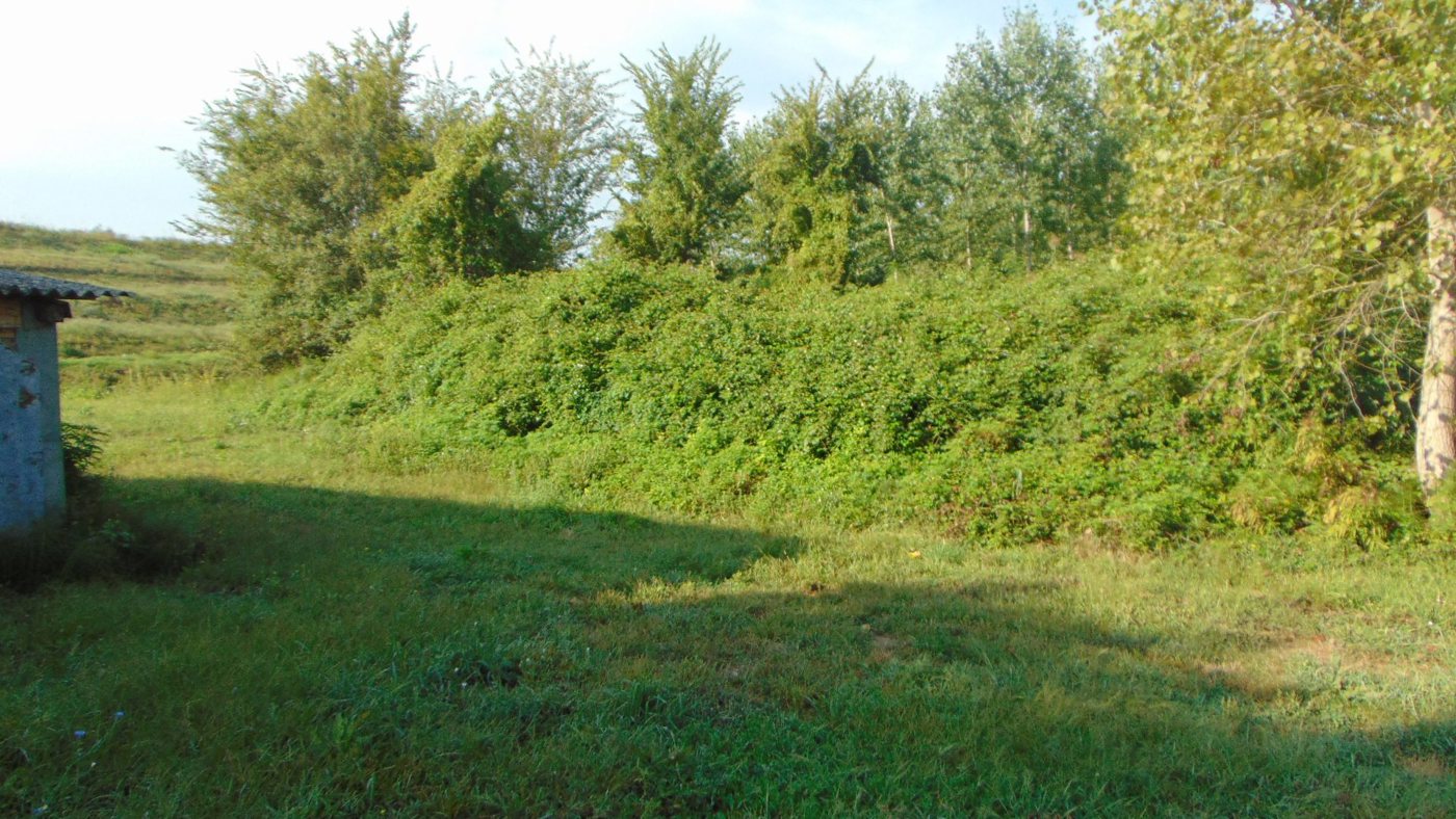 Rustico da ristrutturare a Papozze