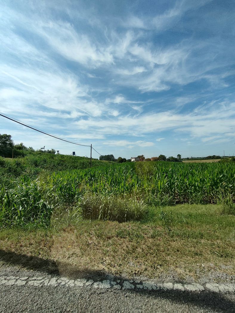 Terreno Agricolo in vendita a Corbola