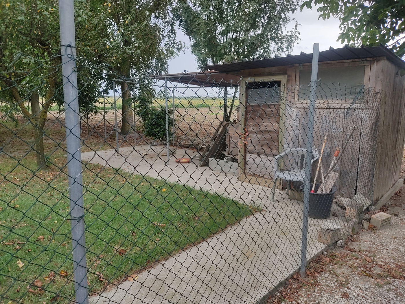 immagine annuncio 4 di 10