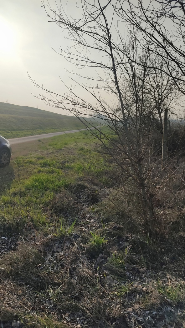 Villa con giardino a Papozze