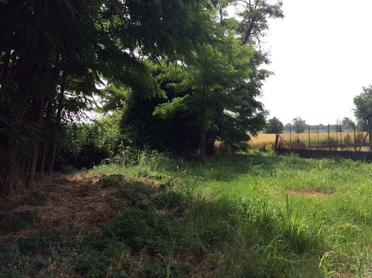 Rustico da ristrutturare a Papozze