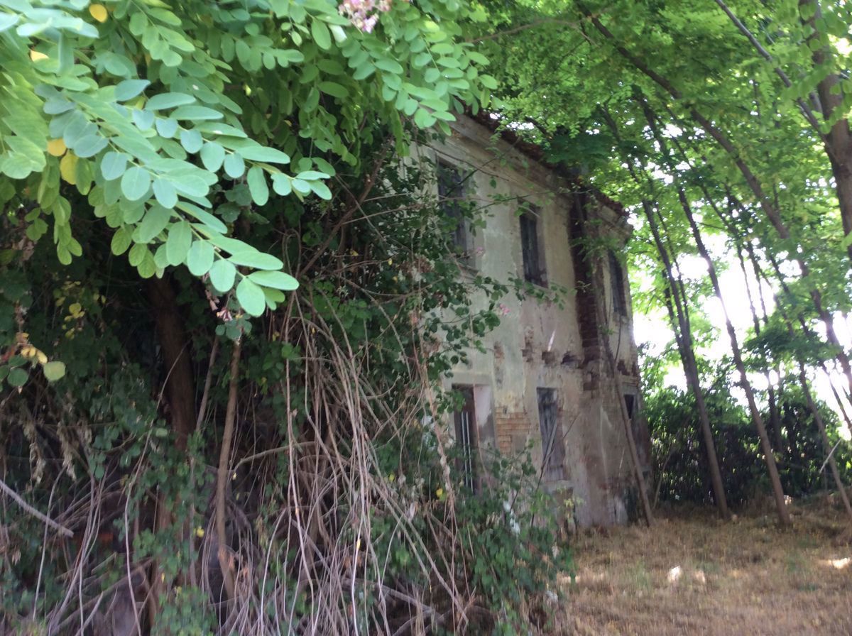 Rustico da ristrutturare a Papozze