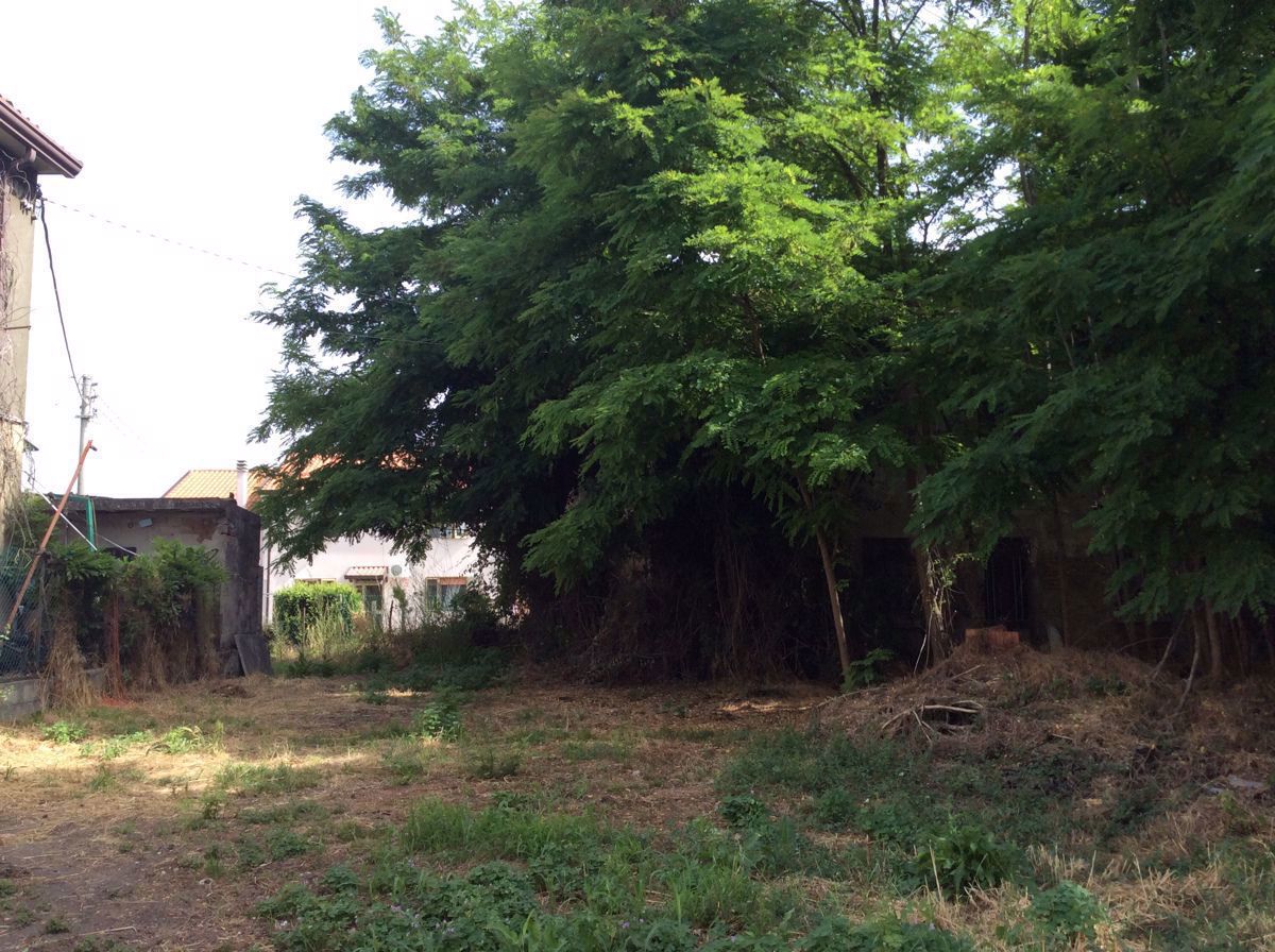 Rustico da ristrutturare a Papozze