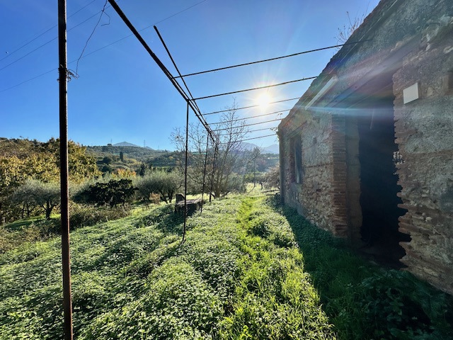 immagine annuncio 6 di 9