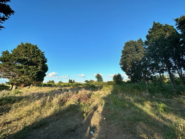 Terreno Agricolo in affitto a Barcellona Pozzo di Gotto