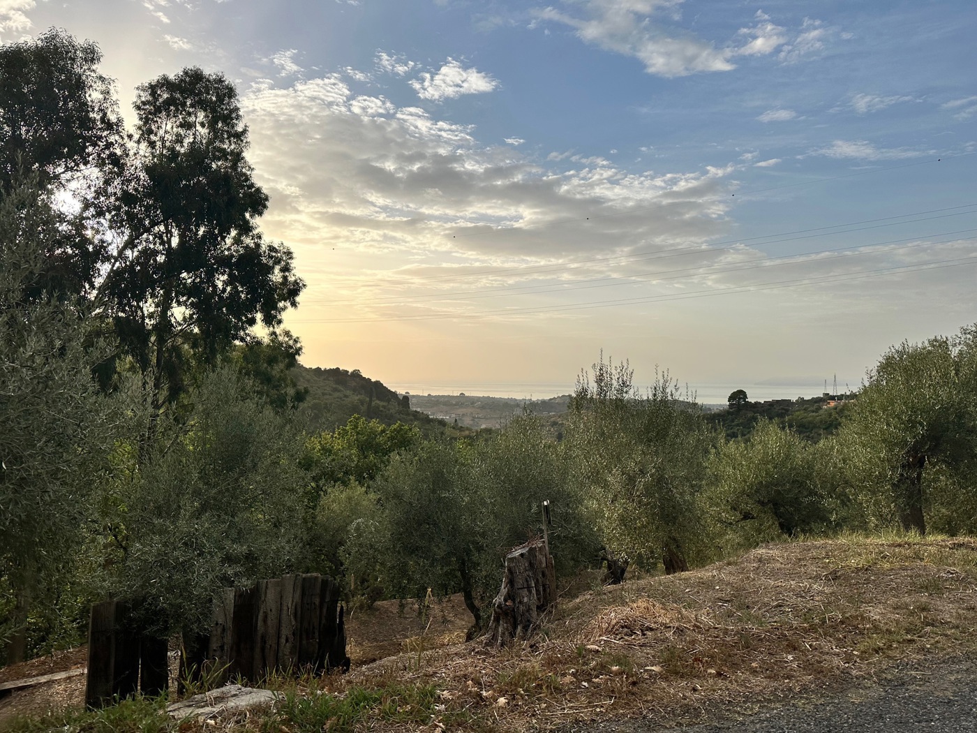 Terreno Agricolo in vendita a Barcellona Pozzo di Gotto