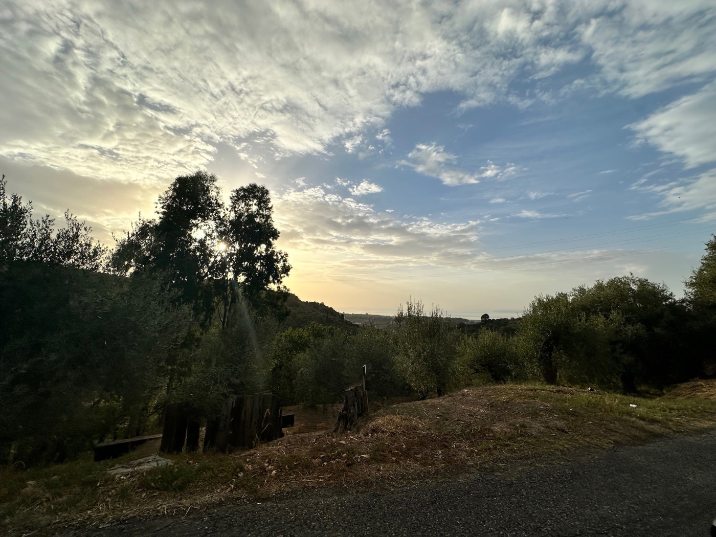 Terreno Agricolo in vendita a Barcellona Pozzo di Gotto