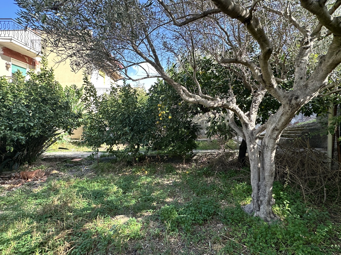 Casa indipendente con giardino a Barcellona Pozzo di Gotto