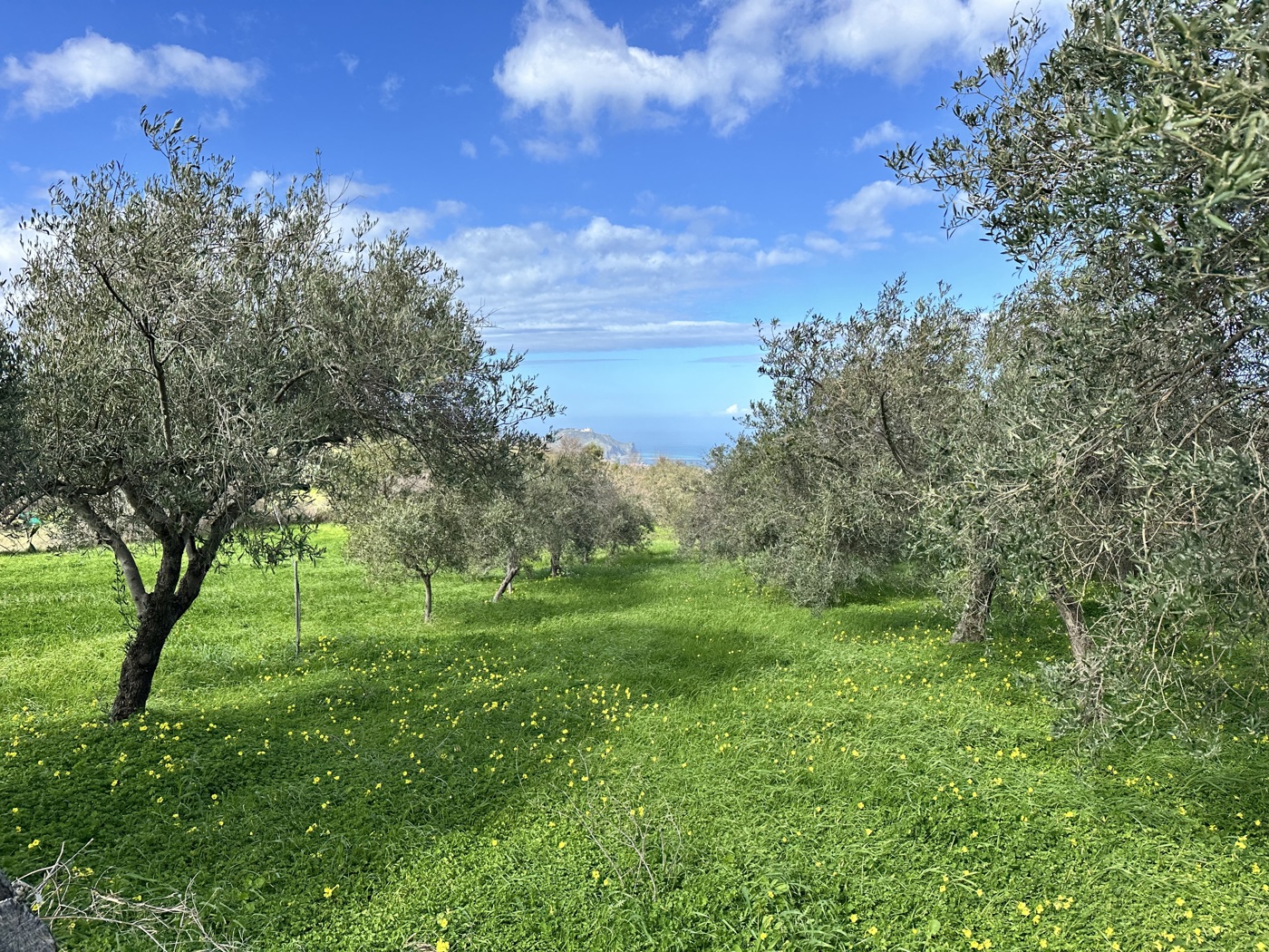 Villa in vendita a Tripi