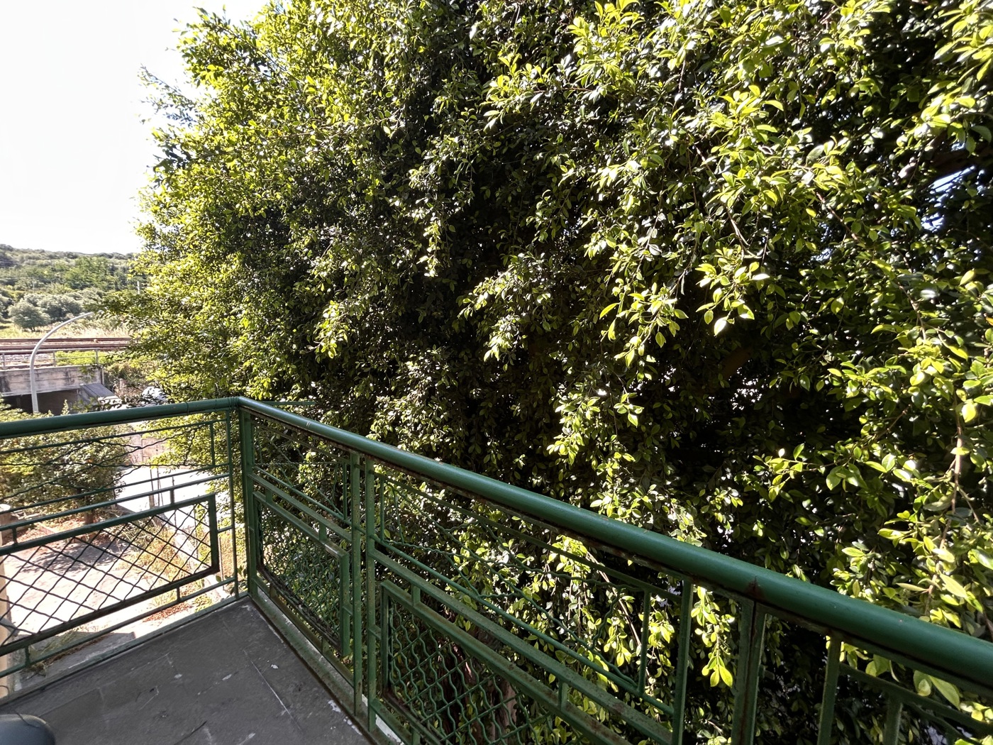Casa indipendente con giardino a Terme Vigliatore