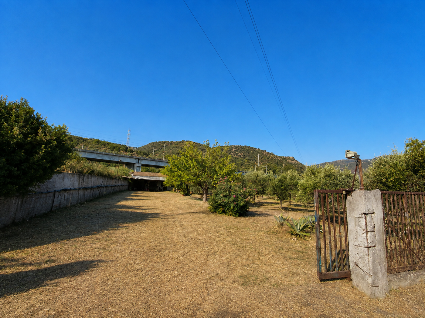 Terreno Agricolo in vendita a Falcone