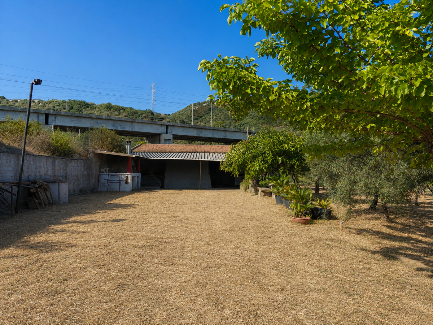 Terreno Agricolo in vendita a Falcone