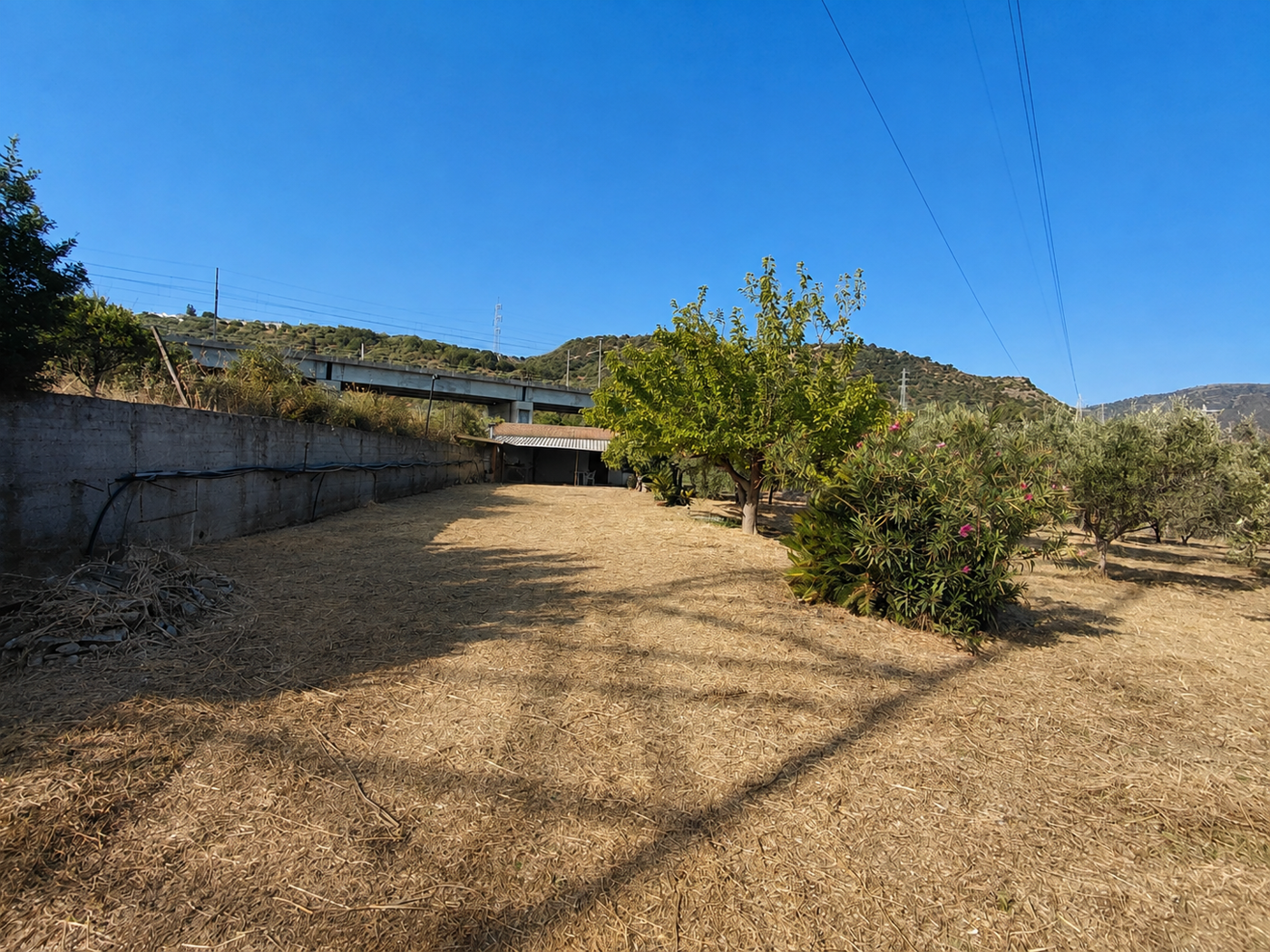 Terreno Agricolo in vendita a Falcone