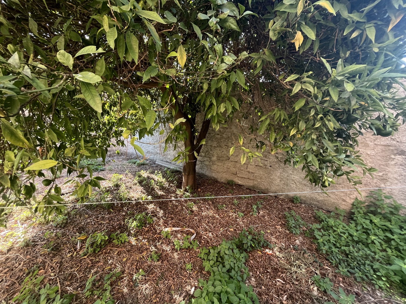 Terreno Edificabile in vendita a Barcellona Pozzo di Gotto