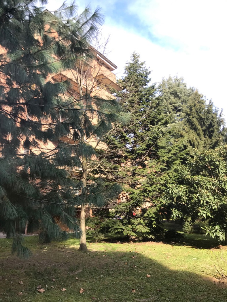 Bilocale arredato in affitto a Milano