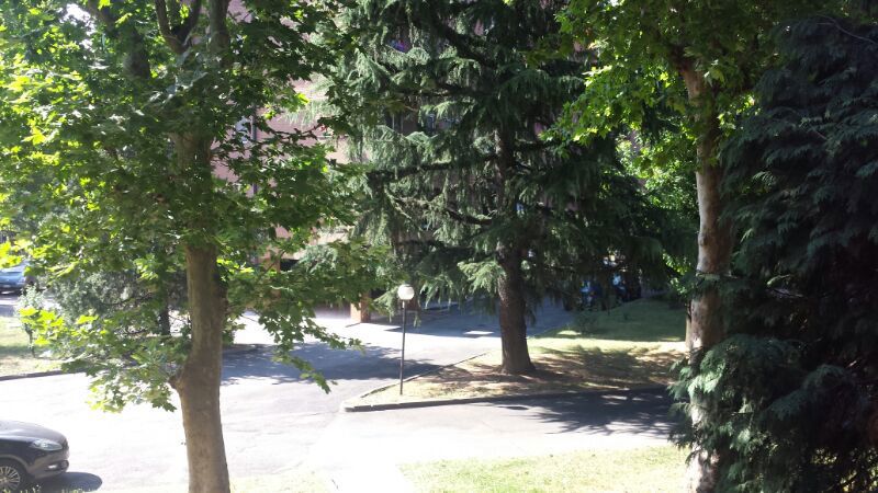 Bilocale arredato in affitto a Milano